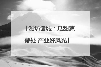 潍坊诸城：瓜甜葱郁处 产业好风光